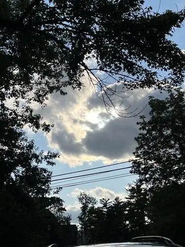 Nature's frame for a radiant sky.
